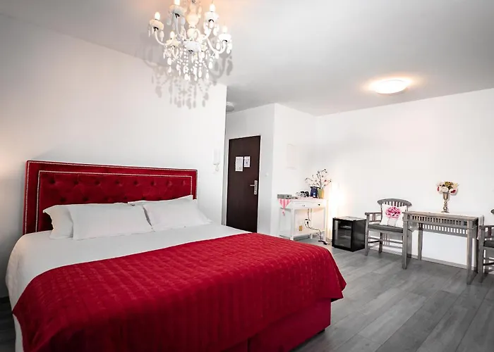 Padre Dante Free Parking And Starlink High Speed Internet